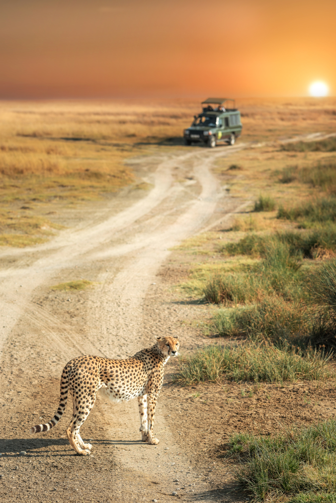 Safari Sudafrica viaje grupal 2024 BALIBUTA
