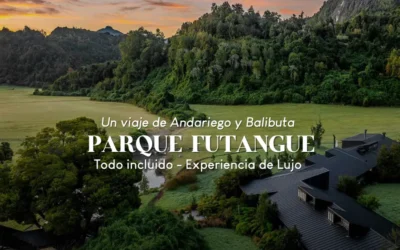 Futangue 2026: Lujo y Aventura en la Selva Valdiviana