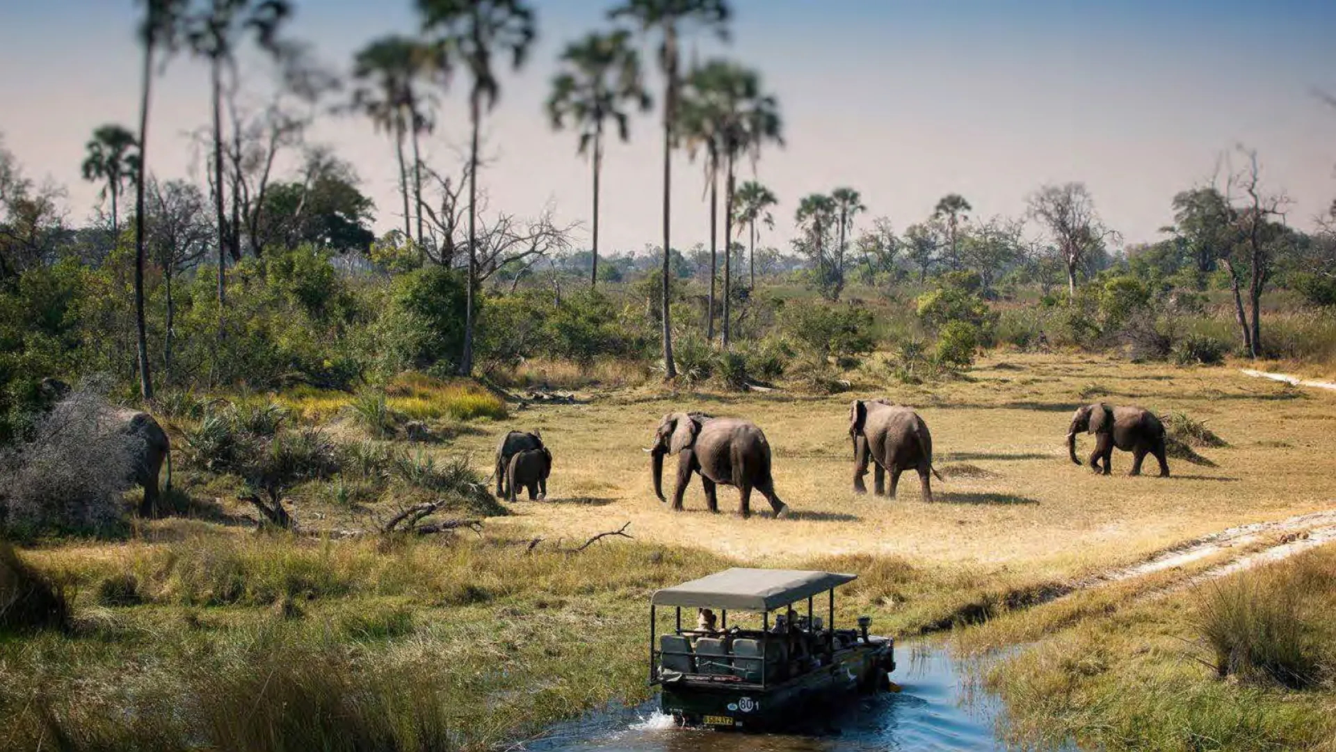Safari Sudáfrica viaje grupal BALIBUTA