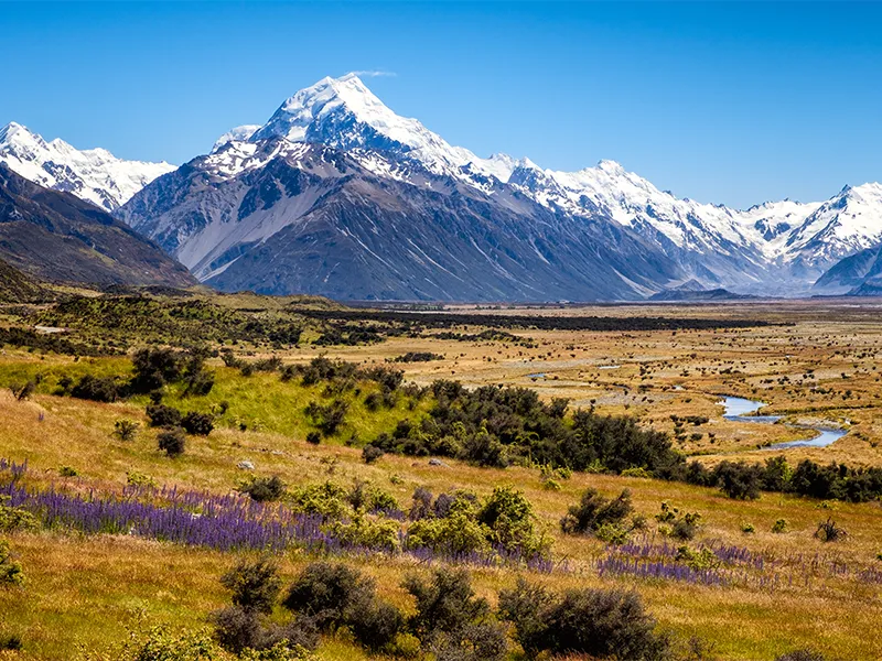Nueva Zelanda